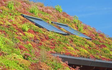Porthilly living roof systems